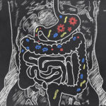 I thought this was an easy to understand article on gut health. Leaky gut: What is it, and what does it mean for you? – Harvard Health